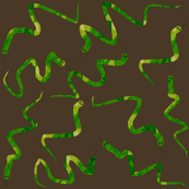 Bejewelled Snakes