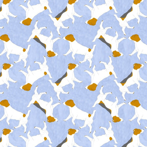 Trotting Russel Terriers - blue