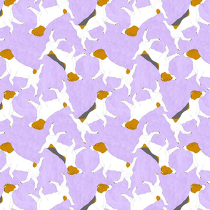 Trotting Russel Terriers - purple
