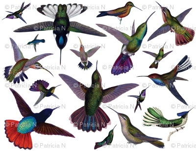 Vintage Hummingbirds