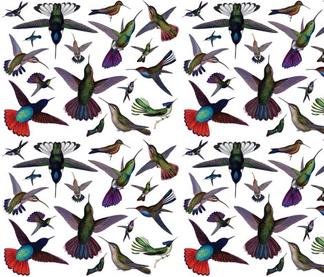 Rhummingbirds-digital-collage_shop_preview