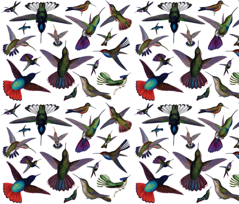 Vintage Hummingbirds fabric by pencreations on Spoonflower - custom fabric