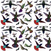 Rhummingbirds-digital-collage_shop_thumb