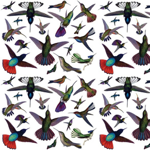 Vintage Hummingbirds