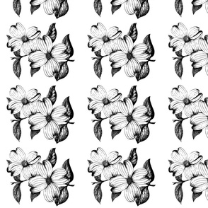Dogwood Flowers