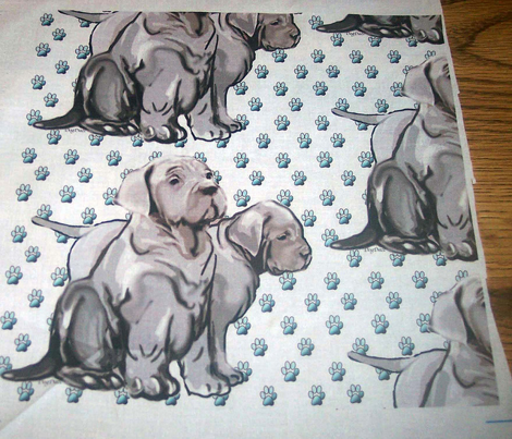 Rneopolitan_puppieswith_pawprints_comment_262055_preview