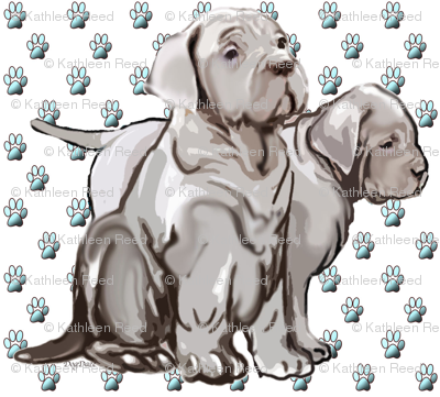 neopolitan puppies with pawprints