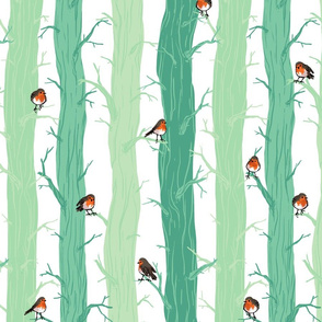 Birdy