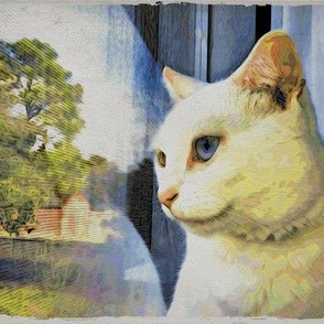 Spirit window #1