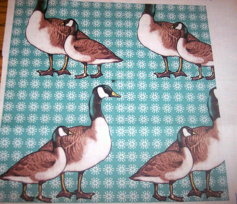 Canada Geese and Snowflakes