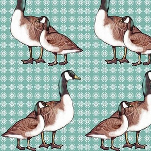 Canada Geese and Snowflakes