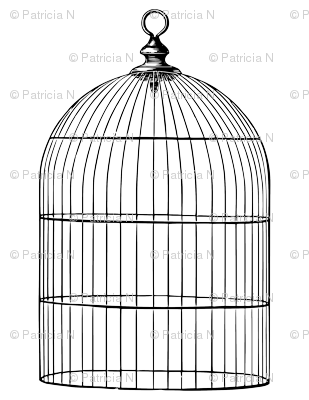 Bird Cages