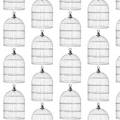 Rbirdcage_shop_thumb