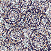 snake mosaic faded