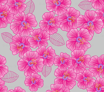 Pink_on_grey