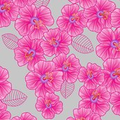 Rrrpink_on_grey