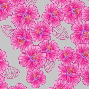 Pink_on_grey