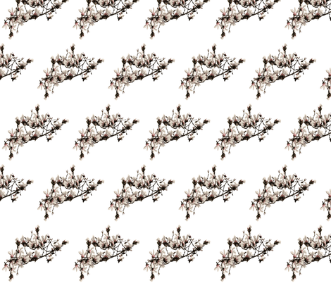 magnolia-flower fabric by cutiecat on Spoonflower - custom fabric