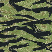 Vietnam Tiger Stripe Camo
