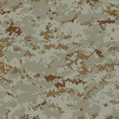 Marine MARPAT Digital Desert Camo