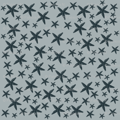 Vintage Starfish