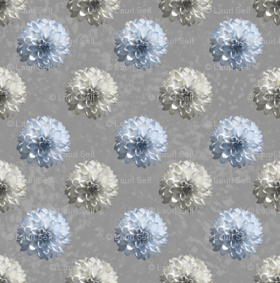 grey daisies