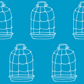 birdcage sea