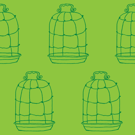birdcage grass