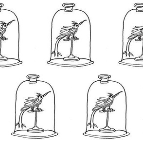 hummingbirds