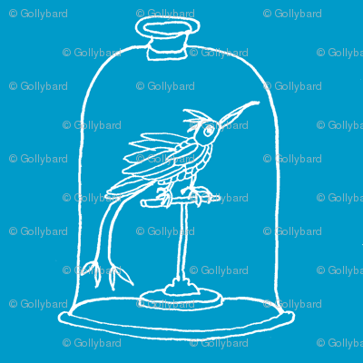 hummingbirds sea