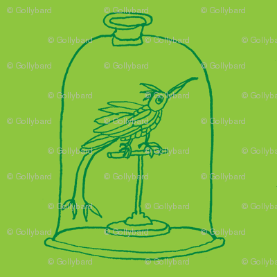 hummingbirds grass