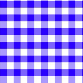 Base Vichy bleu