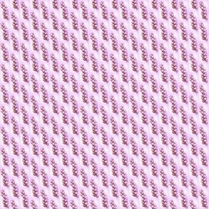 Sugarbush Weave