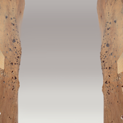 Mars Rover Skirt
