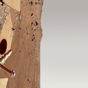 Mars Rover Skirt