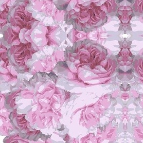 Pink Peony-flower