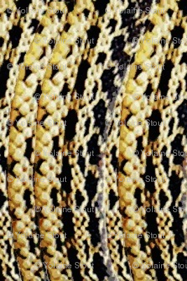 Garter Snake Skin Weave