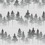 Rforest_shop_thumb