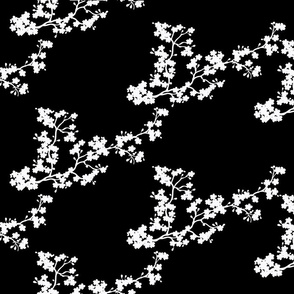 cherry blossom