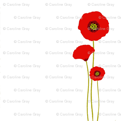 Fields of Poppies