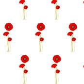 Rpoppys_shop_thumb