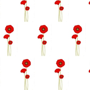Fields of Poppies