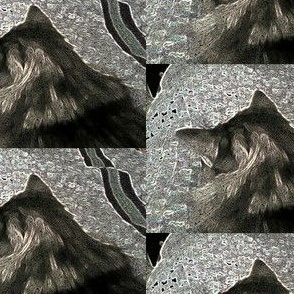 Cat Dream...