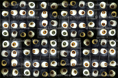 Eyeball Maze