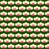 Rsugarbushtrio_ed_shop_thumb