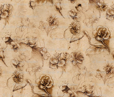 Leonardo da Vinci - Flower Study