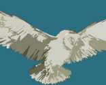 Rrflying_owl_copy_thumb