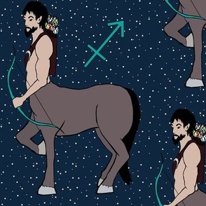 Sagittarius In the Sky
