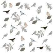 Rmd_birds_and_leaves_shop_thumb