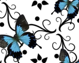 Ulysses butterfly